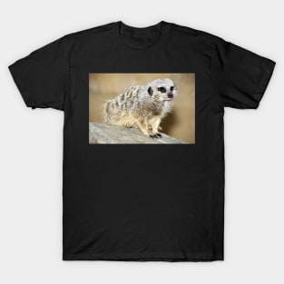 Meerkat T-Shirt